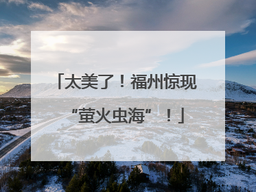 太美了！福州惊现“萤火虫海”！