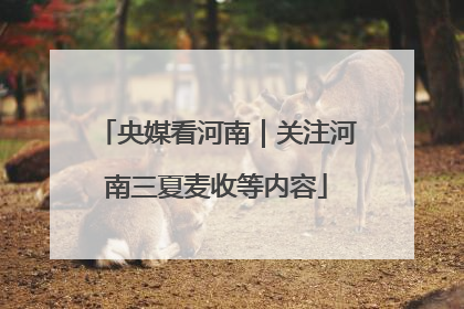 央媒看河南｜关注河南三夏麦收等内容