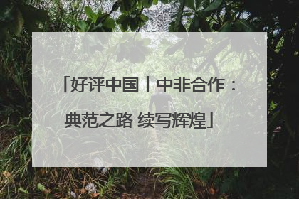 好评中国丨中非合作：典范之路 续写辉煌