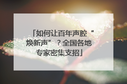 如何让百年声腔“焕新声”？全国各地专家密集支招