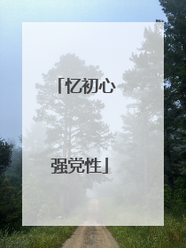 忆初心 强党性