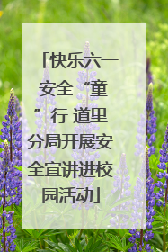 快乐六一 安全“童”行 道里分局开展安全宣讲进校园活动