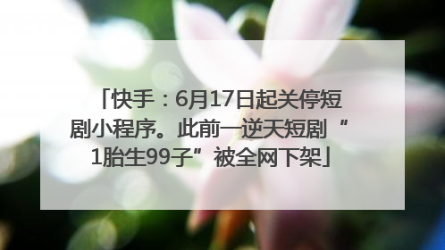 快手：6月17日起关停短剧小程序。此前一逆天短剧“1胎生99子”被全网下架