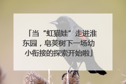 当“虹猫娃”走进淮东园，皂荚树下一场幼小衔接的探索开始啦