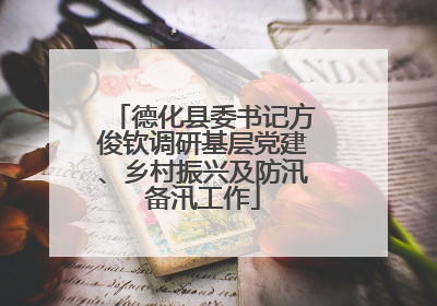 德化县委书记方俊钦调研基层党建、乡村振兴及防汛备汛工作