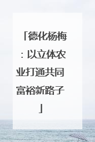 德化杨梅：以立体农业打通共同富裕新路子