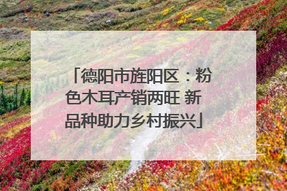 德阳市旌阳区：粉色木耳产销两旺 新品种助力乡村振兴