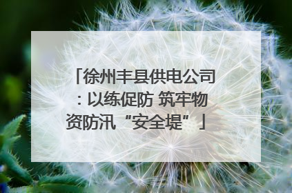 徐州丰县供电公司：以练促防 筑牢物资防汛“安全堤”