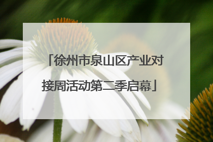 徐州市泉山区产业对接周活动第二季启幕