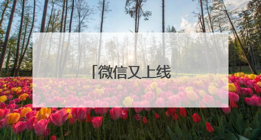 微信又上线新功能！