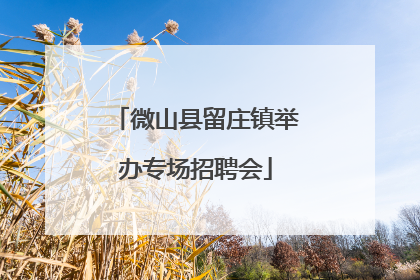 微山县留庄镇举办专场招聘会