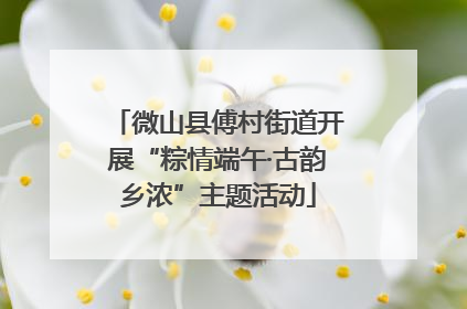 微山县傅村街道开展“粽情端午·古韵乡浓”主题活动