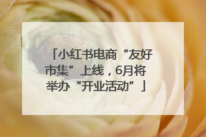 小红书电商“友好市集”上线，6月将举办“开业活动”