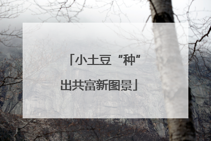 小土豆“种”出共富新图景