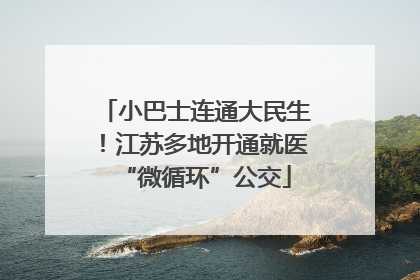 小巴士连通大民生！江苏多地开通就医“微循环”公交