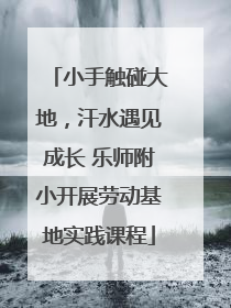 小手触碰大地，汗水遇见成长 乐师附小开展劳动基地实践课程