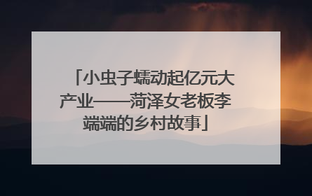 小虫子蠕动起亿元大产业——菏泽女老板李端端的乡村故事