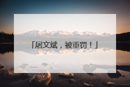 屠文斌，被重罚！