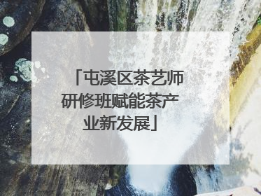 屯溪区茶艺师研修班赋能茶产业新发展