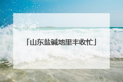 山东盐碱地里丰收忙