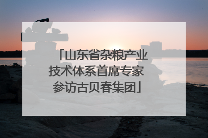 山东省杂粮产业技术体系首席专家参访古贝春集团