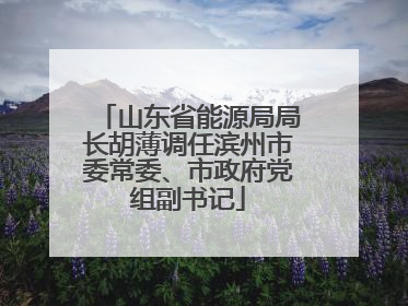 山东省能源局局长胡薄调任滨州市委常委、市政府党组副书记
