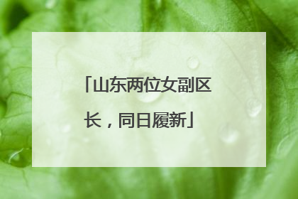 山东两位女副区长，同日履新