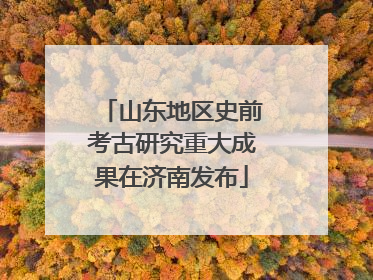 山东地区史前考古研究重大成果在济南发布