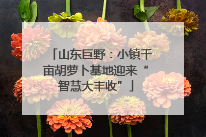 山东巨野：小镇千亩胡萝卜基地迎来“智慧大丰收”