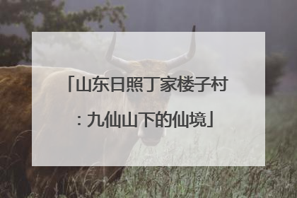山东日照丁家楼子村：九仙山下的仙境