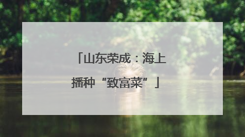 山东荣成：海上播种“致富菜”