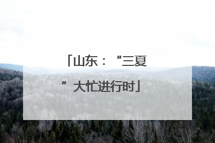 山东：“三夏”大忙进行时