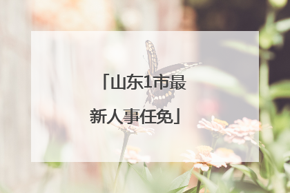 山东1市最新人事任免