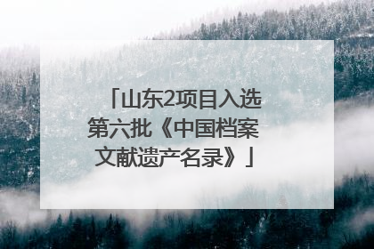 山东2项目入选第六批《中国档案文献遗产名录》