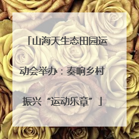 山海天生态田园运动会举办：奏响乡村振兴“运动乐章”