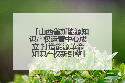 山西省新能源知识产权运营中心成立 打造能源革命知识产权新引擎