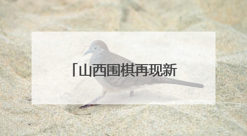 山西围棋再现新星 14岁小将行泓丞斩金夺银