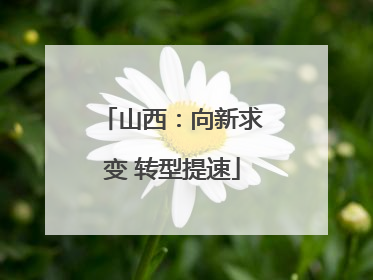 山西：向新求变 转型提速