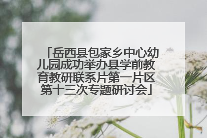 岳西县包家乡中心幼儿园成功举办县学前教育教研联系片第一片区第十三次专题研讨会