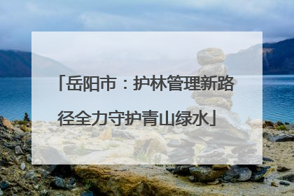 岳阳市：护林管理新路径全力守护青山绿水