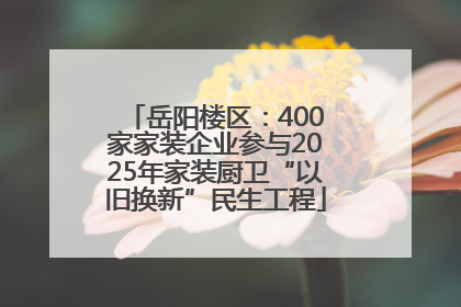 岳阳楼区：400家家装企业参与2025年家装厨卫“以旧换新”民生工程