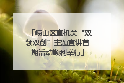 崂山区直机关“双领双创”主题宣讲首期活动顺利举行