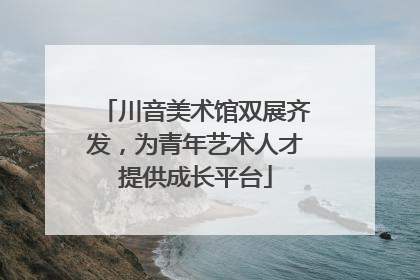 川音美术馆双展齐发，为青年艺术人才提供成长平台