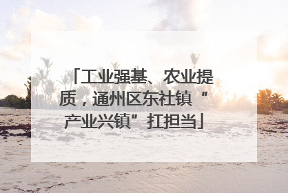 工业强基、农业提质，通州区东社镇“产业兴镇”扛担当