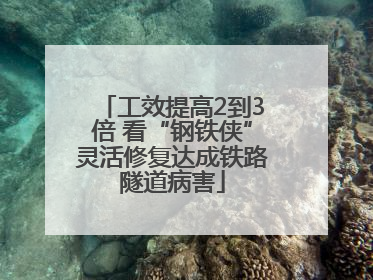 工效提高2到3倍 看“钢铁侠”灵活修复达成铁路隧道病害