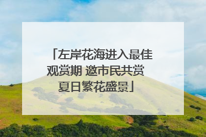 左岸花海进入最佳观赏期 邀市民共赏夏日繁花盛景