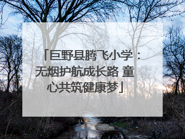 巨野县腾飞小学：无烟护航成长路 童心共筑健康梦
