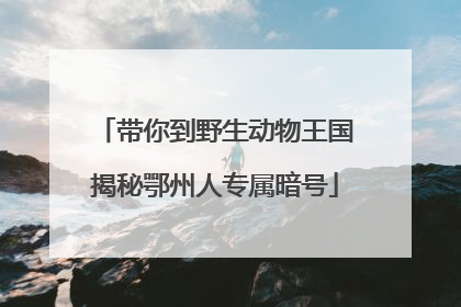 带你到野生动物王国揭秘鄂州人专属暗号