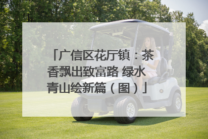 广信区花厅镇：茶香飘出致富路 绿水青山绘新篇（图）