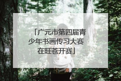 广元市第四届青少年书画传习大赛在旺苍开赛